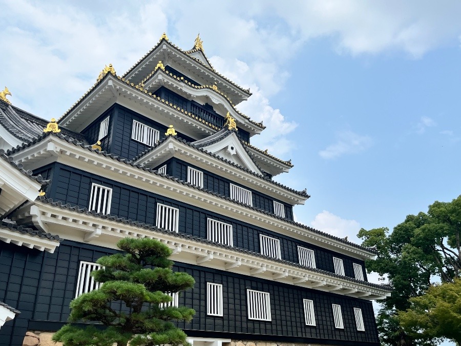 岡山城