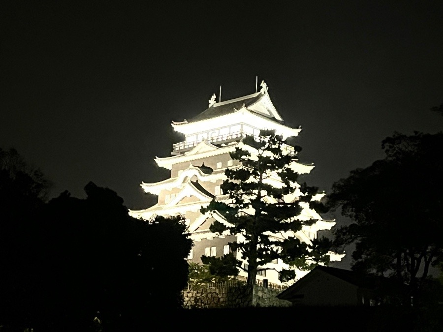 夜の福山城