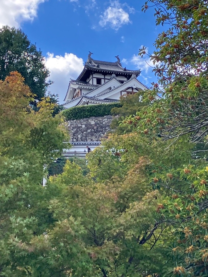 福知山城